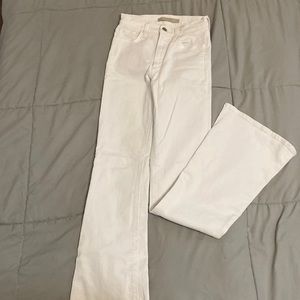 joes jeans. - the molly